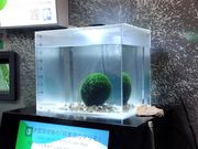 マリモ観察展示センター