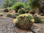 ココクレーター植物園