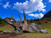 スタッフに写真撮影をお願いすると人形を使った面白い写真を撮ってくれる