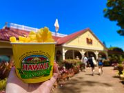 サイズが大きいので二人で1個をシェアが良き！パイナップルが甘くて美味！！