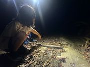 ヤドカリの大きさもハンパじゃない！