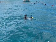 子供も楽しめるシュノーケリング