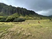 クアロアランチ