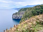 原生林からしか見れない絶景