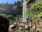 約20分かけて登った先には最高の景色が待っていました