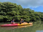 マングローブの中をカヤックで進み続けるという貴重な体験でした。2人で漕ぐとそこまでしんどくないです。