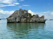 お魚に見える岩！