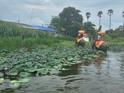 貴重な経験になりました！🐘