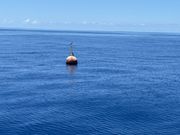 漁のブイが目印
