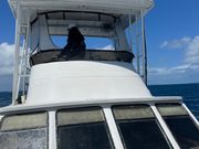 クジラがいる所的確に教えてくれるのでたくさんシャッターチャンスあります。