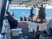 トータル12人の参加で4人1組でダイブしました。