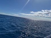 ワイキキ沖のタートルキャニオン