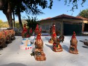 世界で一番長く鳴いて倒れる鶏（デニズリ）