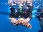 ナマコを触らせてもらえました^^