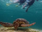 実際に遭遇した写真を撮って頂きました!!