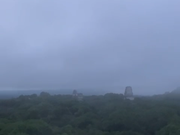 ティカル遺跡神殿からの景色