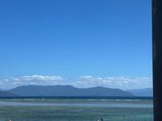 クジラのダイブが桟橋から見えました