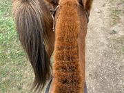 乗馬体験が最高