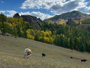 テレルジ公園ハイキング