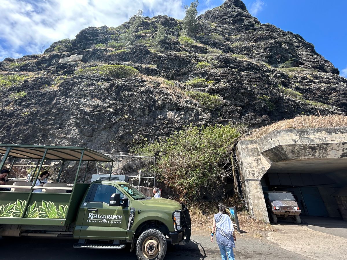 All Reviews) Kualoa Ranch Jurassic Valley Tours (Top Oahu