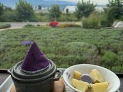 ファーム富田にて