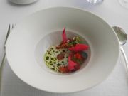 Salmon Trout Yoghurt Sauce