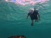 こんな凄い写真を撮ってくれます！