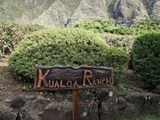 クアロアランチ