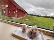 高橋牧場ミルク工房