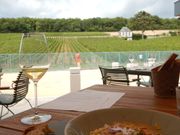 昼食もとても良い場所を予約いただきました。