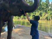 ゾウのブラッシング体験後、おやつプレゼント