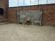 アウシュビッツの銃殺刑の場