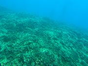 潜水艦からの眺め