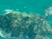 目の見えない亀さんには気をつけてあげて