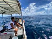 日陰で快適です！