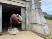 バギーから降車して撮影可