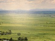 いただいた絵葉書