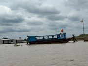 たくさんの花が行き交う