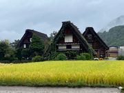 紹介された撮影ポイント