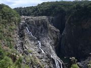 キュランダの旅