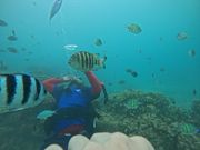 アクアウォーク