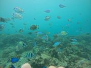 アクアウォーク