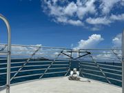 イルカウォッチング