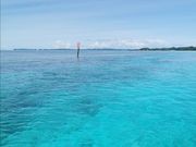 船上からの眺め