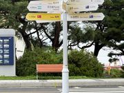 現地から各国までの距離