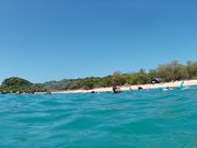 ガイドシュノーケリング(水上)