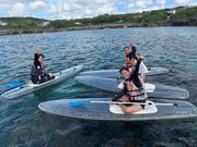 橋の外で立てない一向