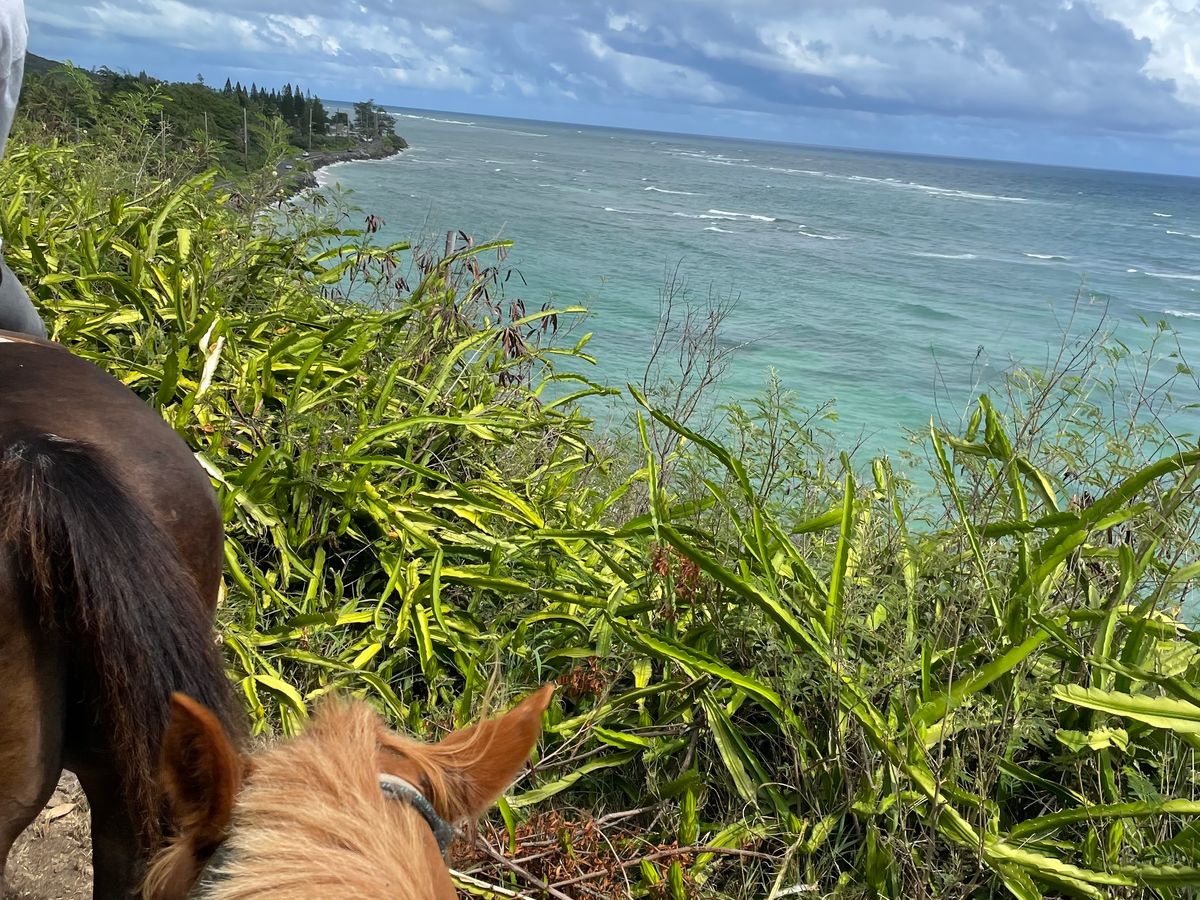 クロアツアー　4 All Reviews) Kualoa Ranch Jurassic Valley Tours (Top Oahu