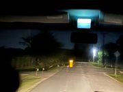 計20匹ワラくらい見れました！