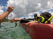 超感動！ウミヘビ触らせてもらえました